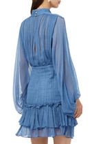 Noemi Long Sleeve Ruched Mini Dress